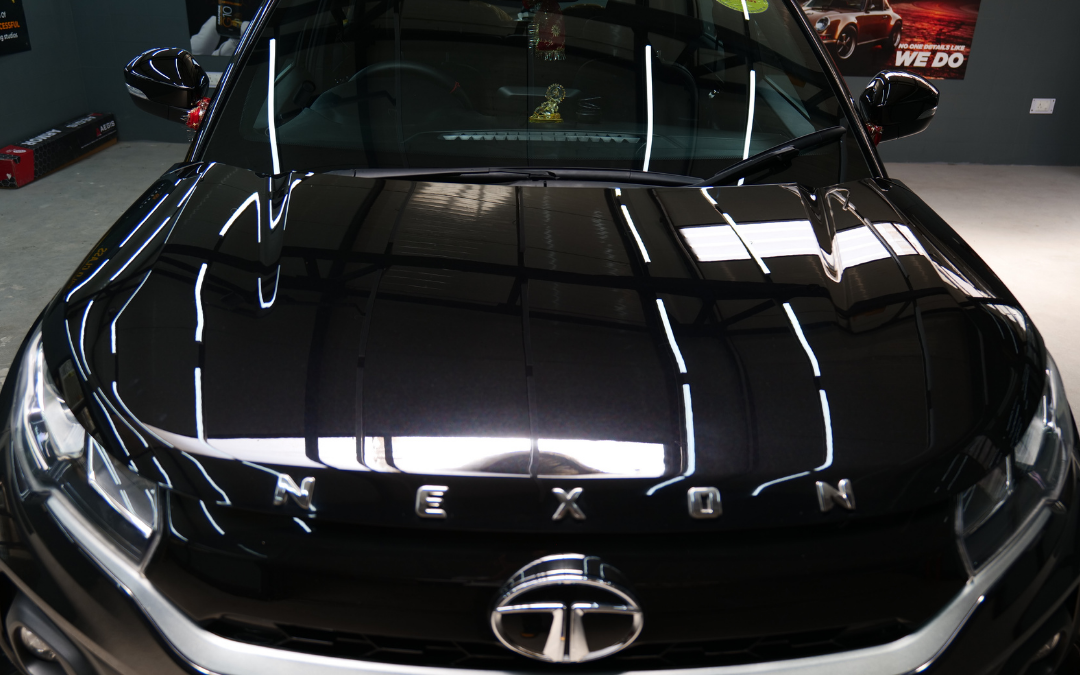 how does paint protection film work